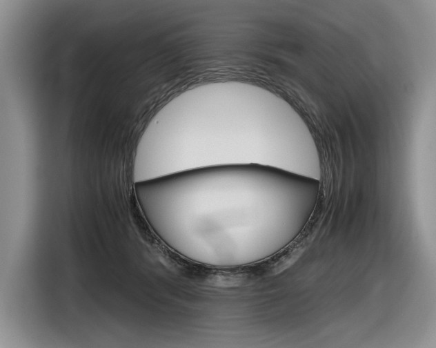 X0000116840416200912181118