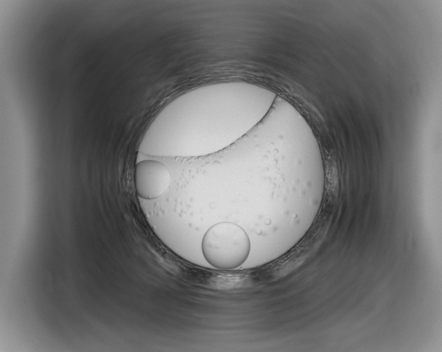 X0000116840418200912181118