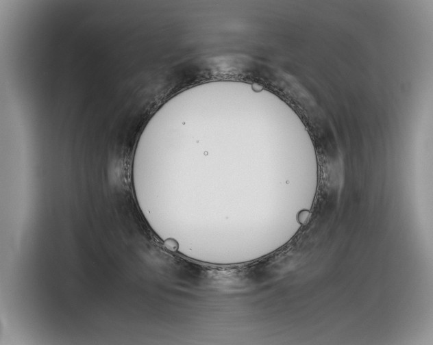 X0000116840419200912181118
