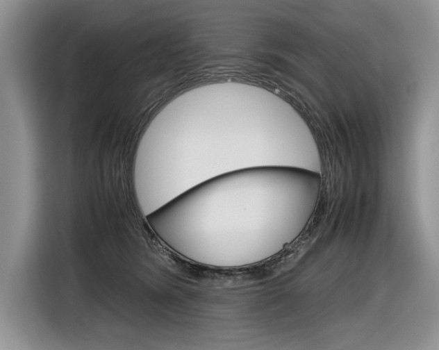 X0000116840420200912181118
