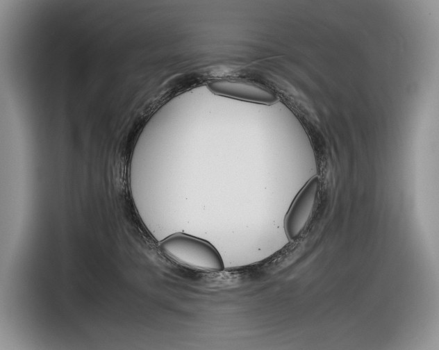 X0000116840421200912181118