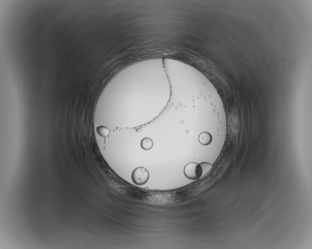 X0000116840422200912181118
