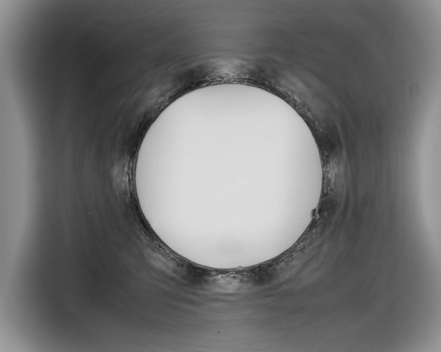 X0000116840423200912181118