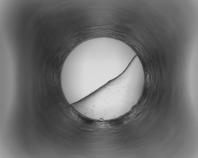 X0000116840424200912181118