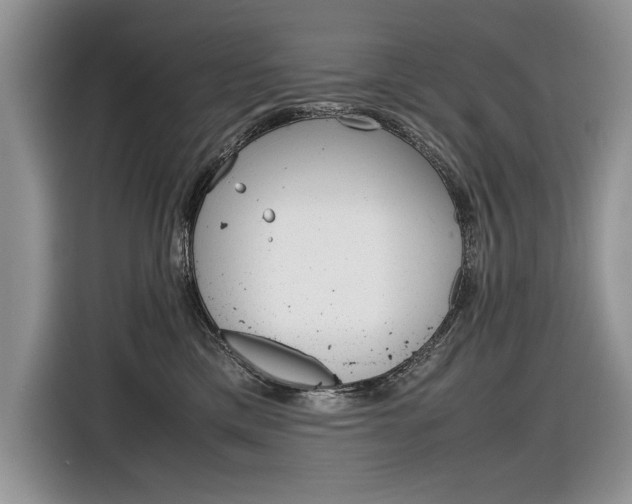 X0000116840425200912181118