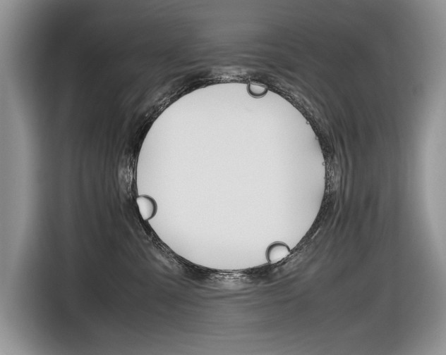 X0000116840427200912181118