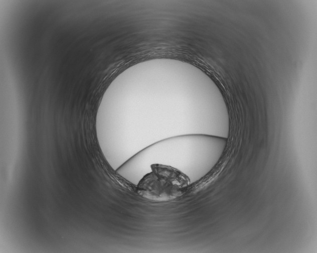 X0000116840432200912181118