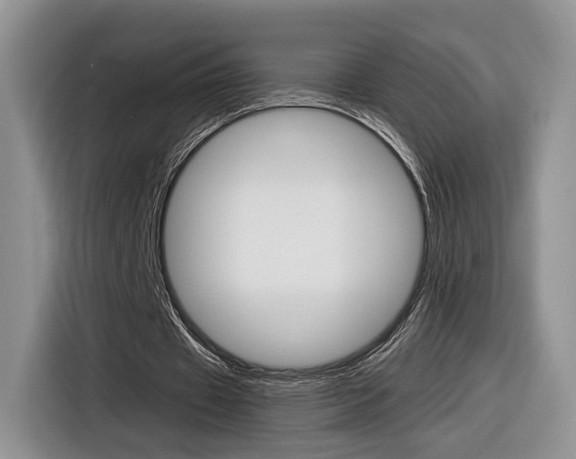 X0000116840433200912181117