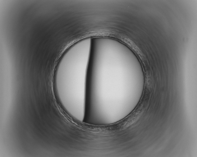 X0000116840434200912181117