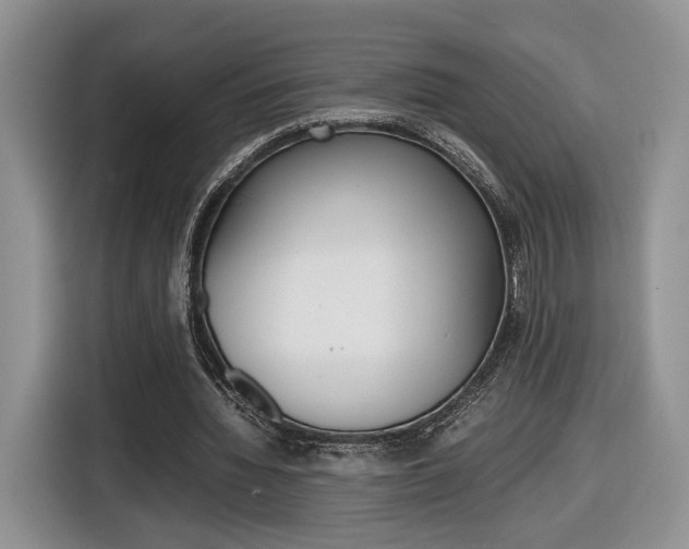 X0000116840436200912181117