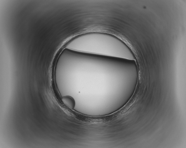 X0000116840438200912181117