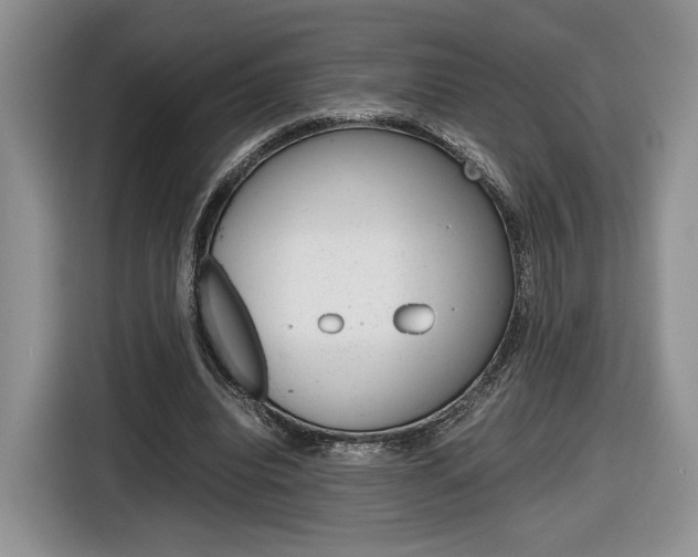 X0000116840440200912181117