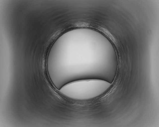 X0000116840441200912181117