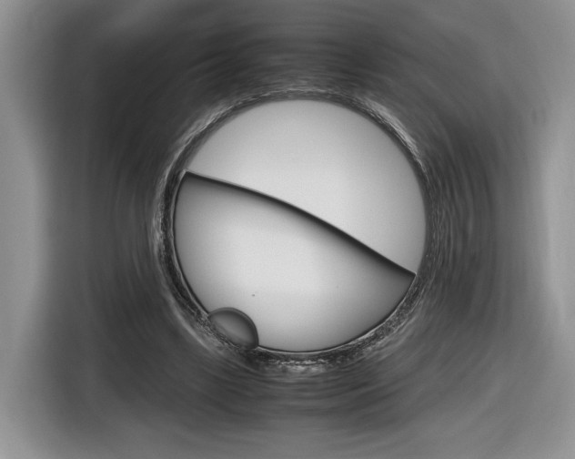X0000116840443200912181117