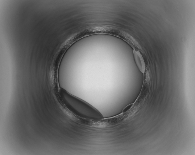 X0000116840444200912181117