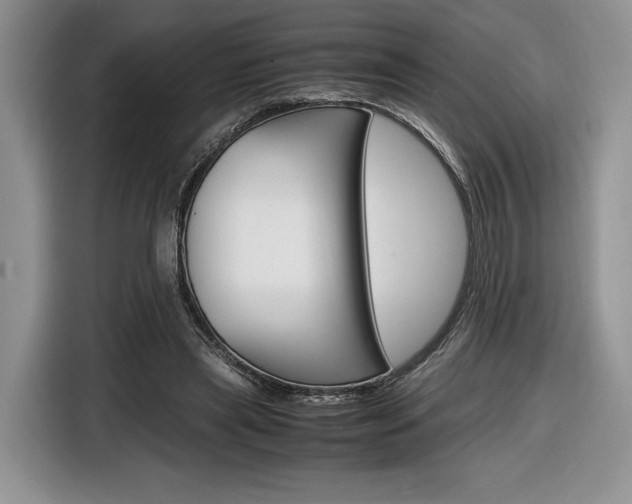X0000116840445200912181117