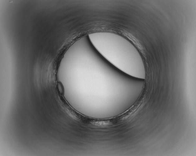 X0000116840449200912181117