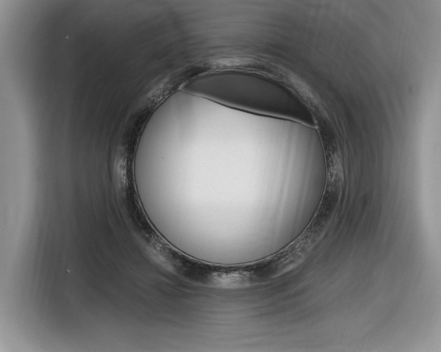 X0000116840452200912181118