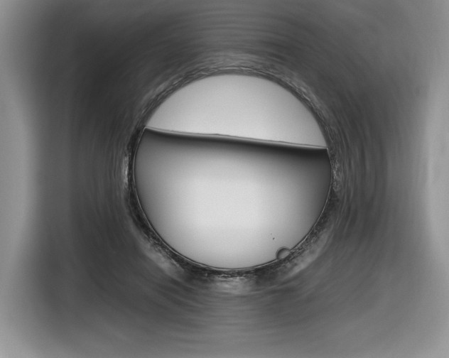 X0000116840454200912181118