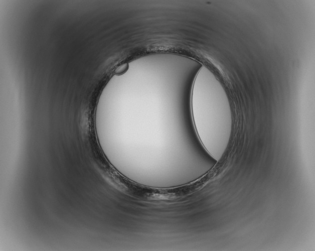 X0000116840455200912181118