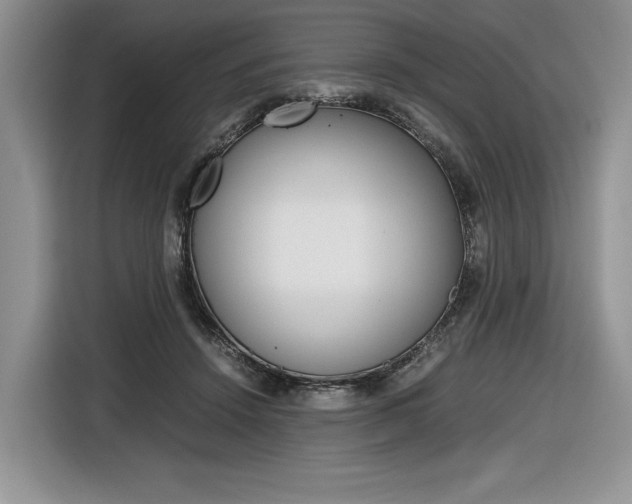 X0000116840456200912181118
