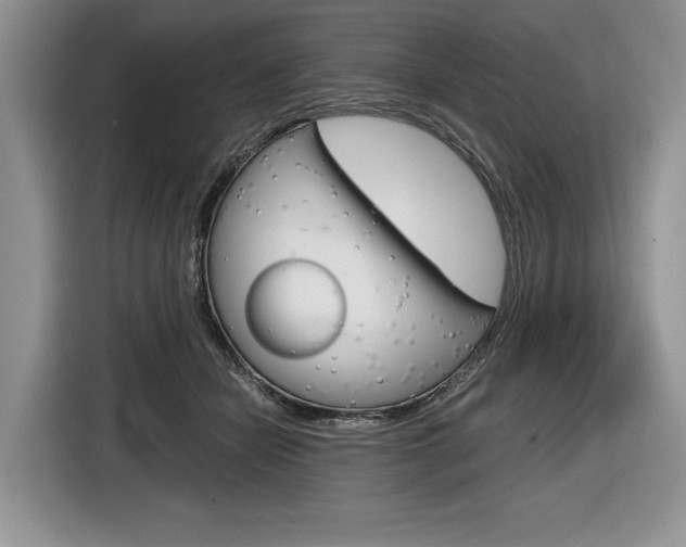 X0000116840462200912181118