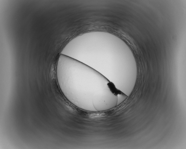 X0000116840465200912181118