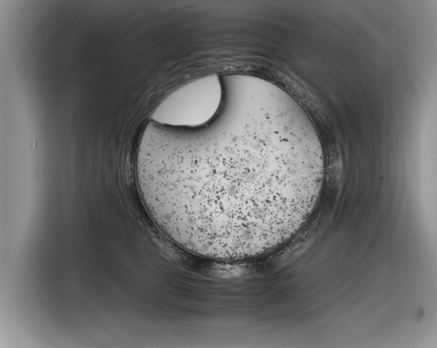 X0000116840469200912181118
