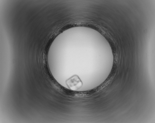X0000116840470200912181118
