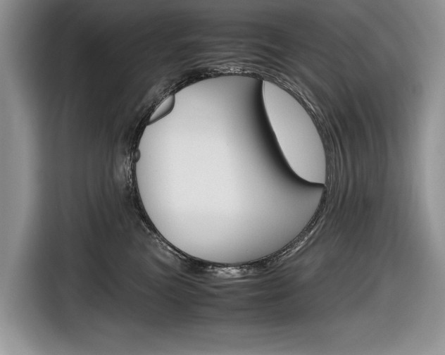 X0000116840473200912181118