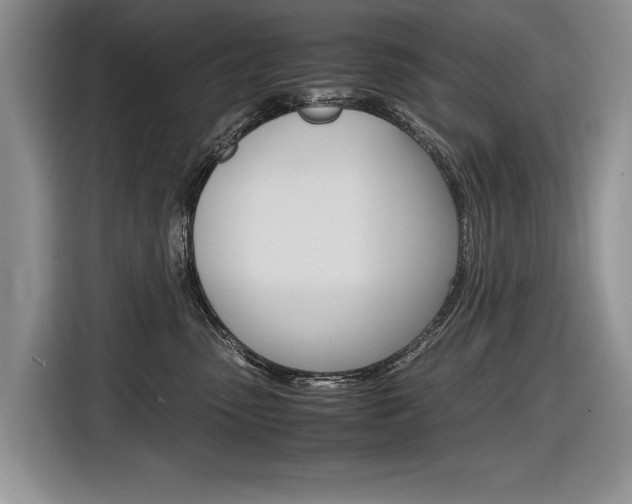 X0000116840475200912181118
