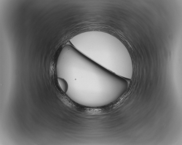 X0000116840476200912181118