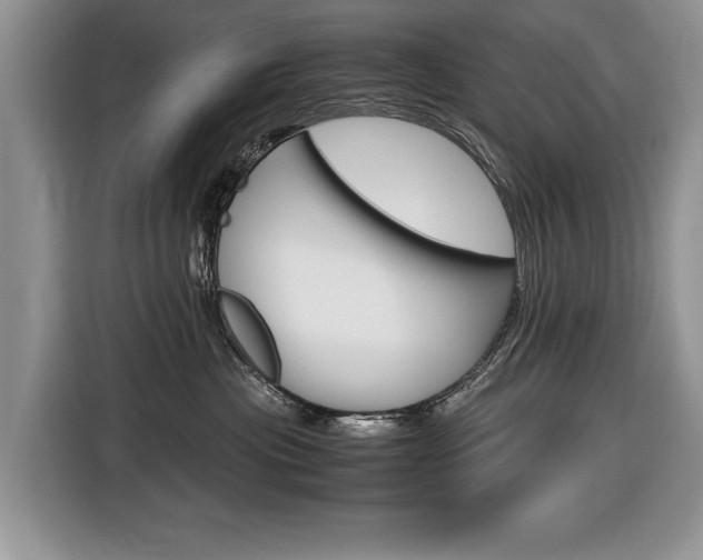X0000116840477200912181118