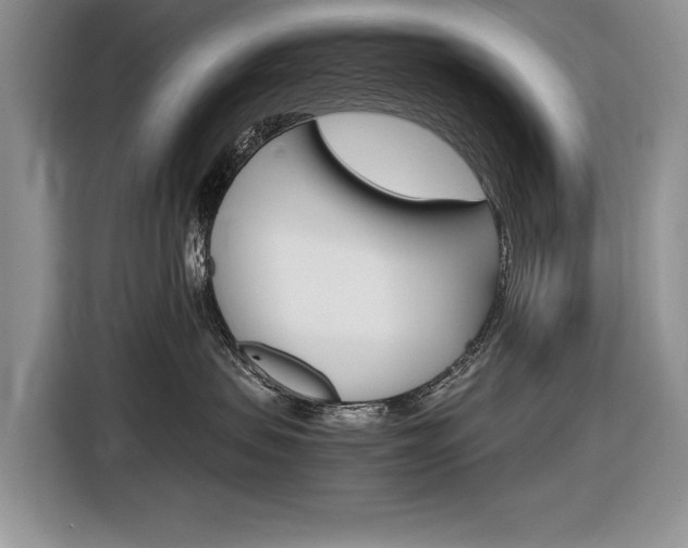 X0000116840479200912181118