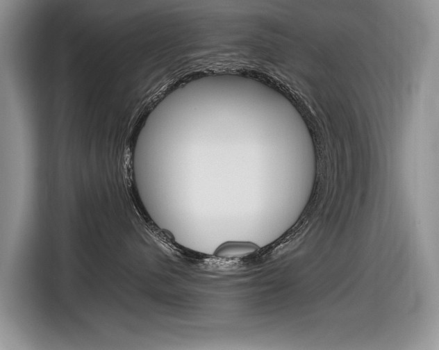 X0000116840480200912181118