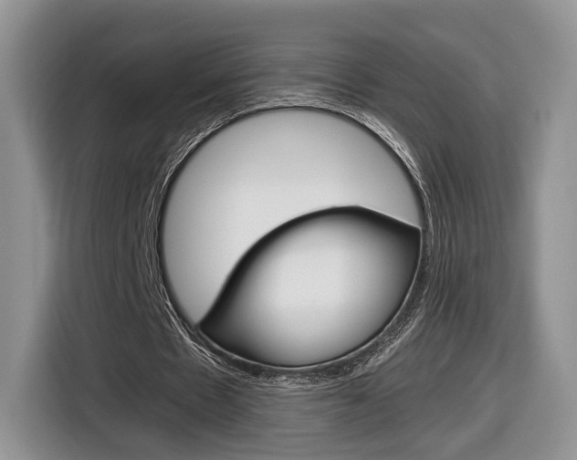 X0000116840481200912181117