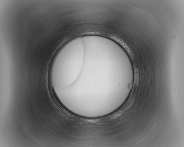 X0000116840482200912181117