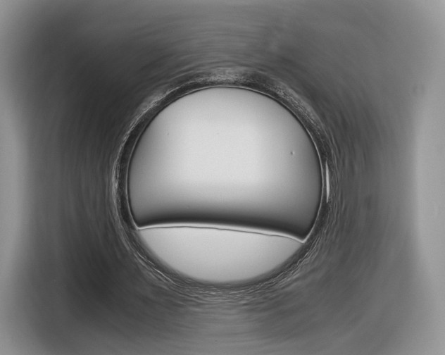 X0000116840483200912181117