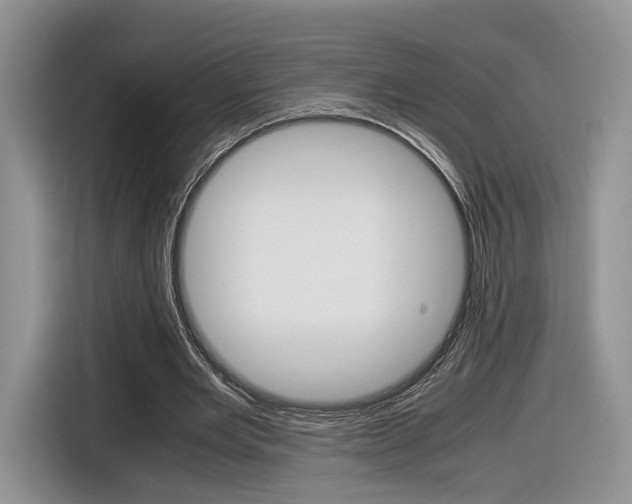 X0000116840485200912181117