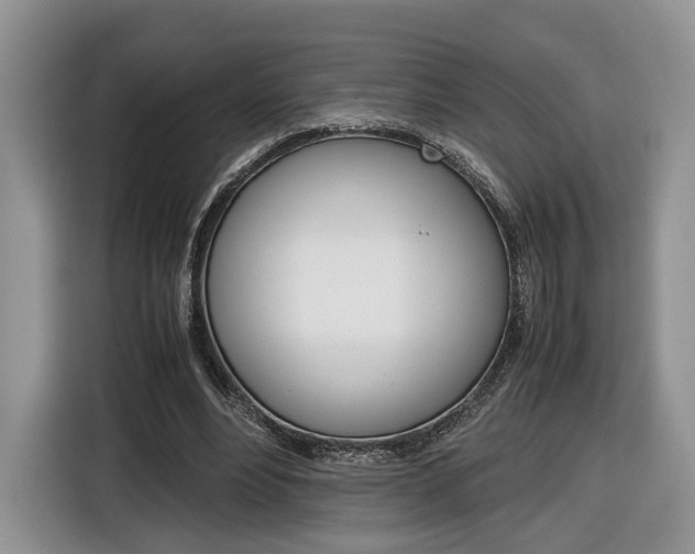 X0000116840488200912181117