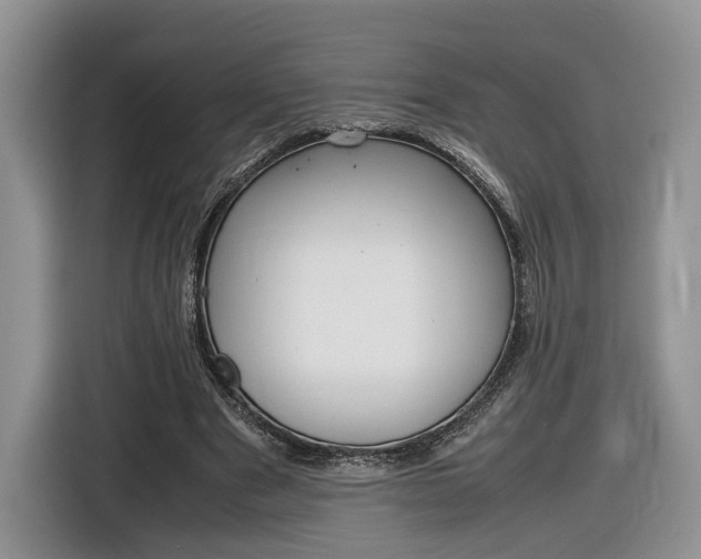 X0000116840489200912181117