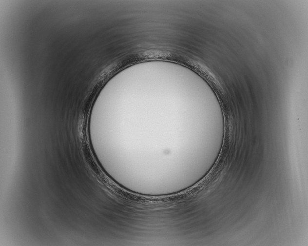 X0000116840490200912181117