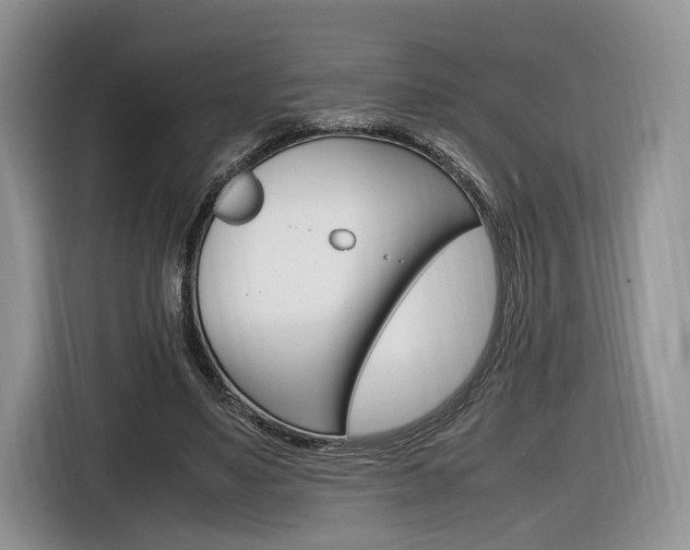 X0000116840491200912181117