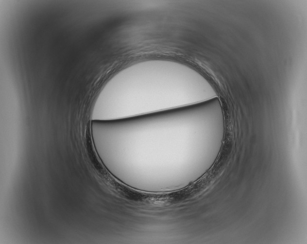 X0000116840495200912181117