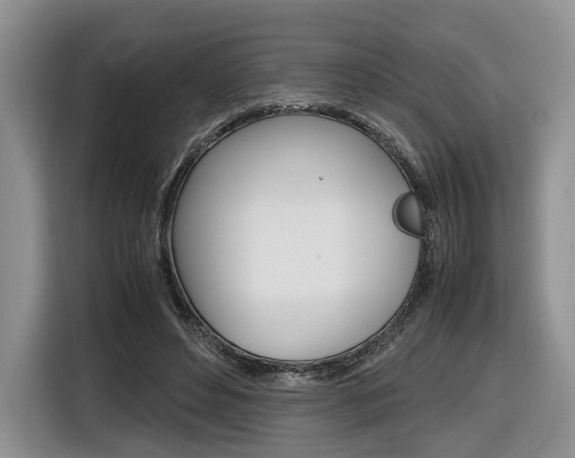 X0000116840496200912181117