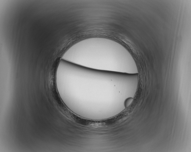 X0000116840499200912181117