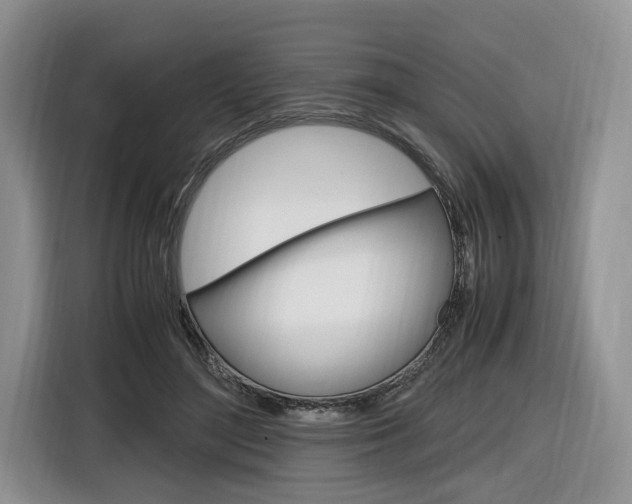 X0000116840500200912181117