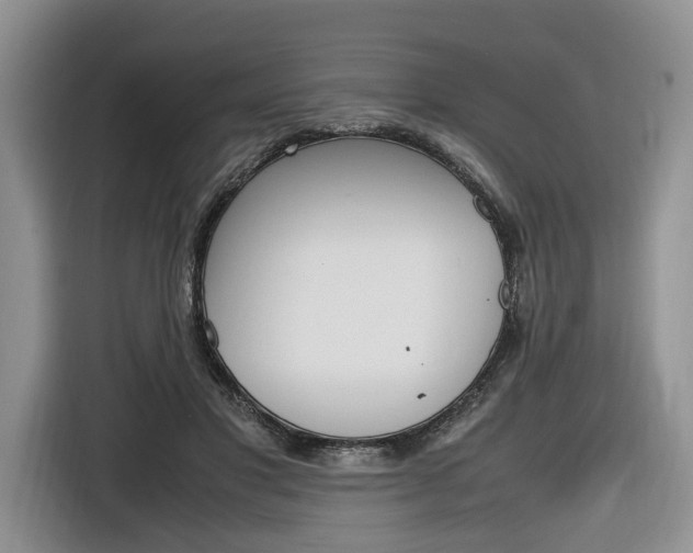 X0000116840501200912181117