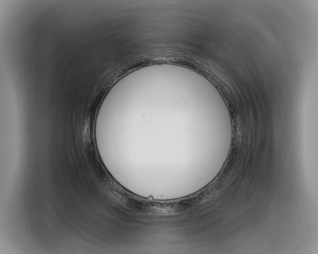 X0000116840502200912181117