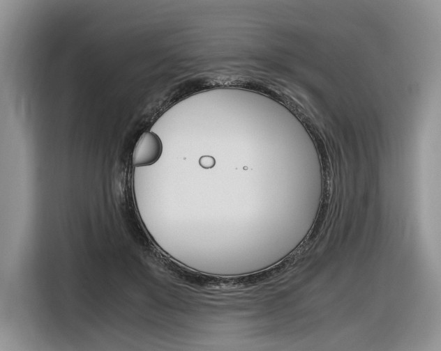 X0000116840503200912181117